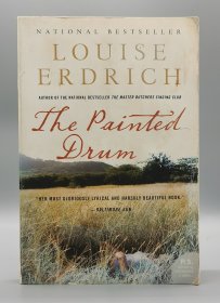 路易斯·厄德里克 The Painted Drum by Louise Erdrich (美国文学) 英文原版书