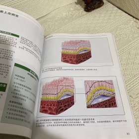 频域光相干断层扫描解读指南（献给资深眼科医生） 16开铜版彩印