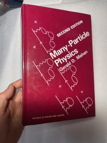 现货 英文原版 Many Particles Physics 多粒子物理学 多粒子系统 Many-Particle Physics