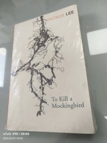 To Kill a Mockingbird，杀死一只知更鸟，全新未拆封