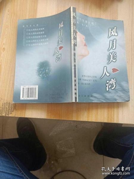 风月美人湾:现代情感小说