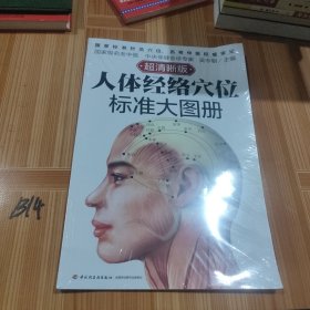 人体经络穴位标准大图册