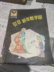 贝贝游历数学国。