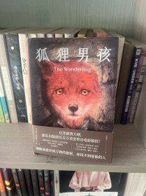 狐狸男孩
