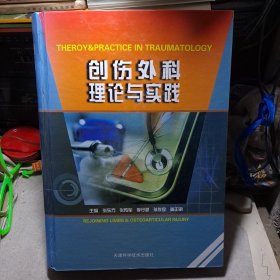 创伤外科理论与实践 下