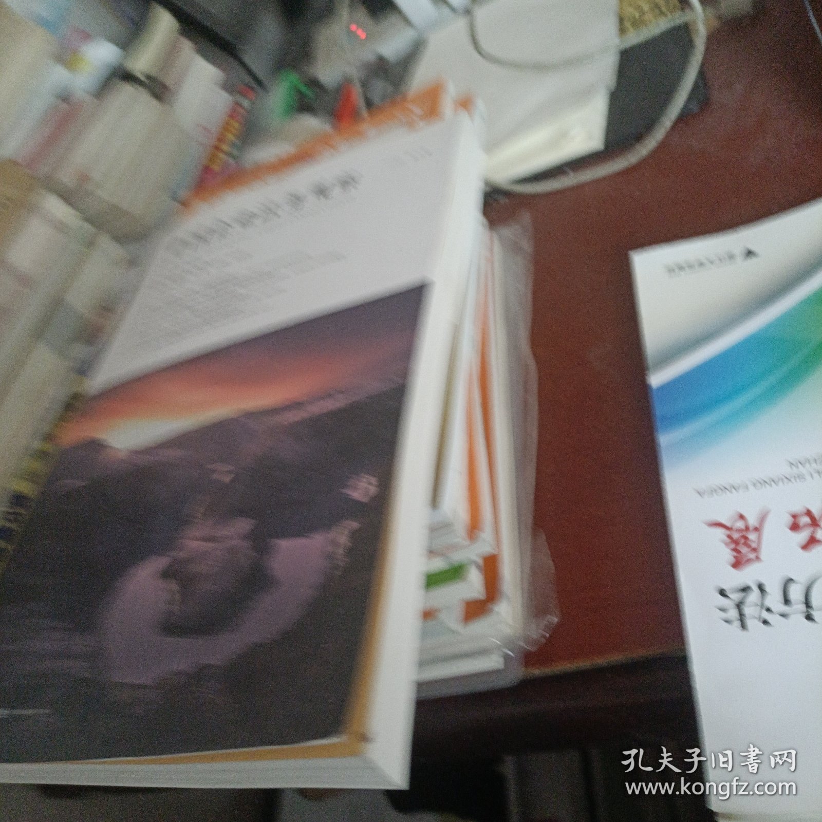 中国企业法务观察（第五辑）