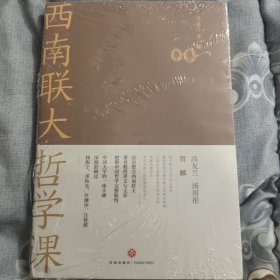 西南联大哲学课（诸子百家之后，又一场思想文化的盛宴！爆款历史大号温乎@温伯陵重磅推荐！）