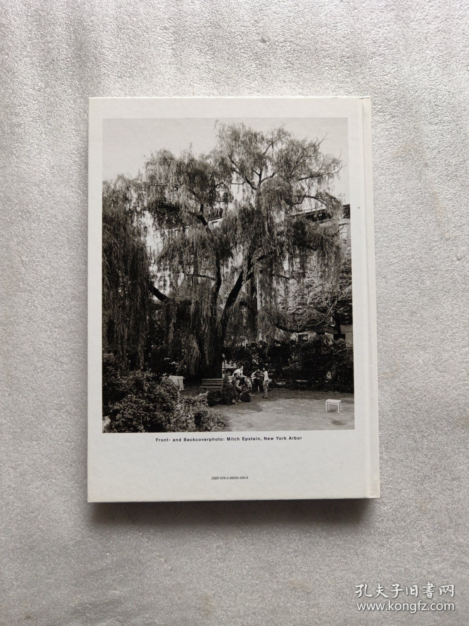 STEIDL:SPRING SUMMER 2013(STEIDL摄影艺术类图书介绍)