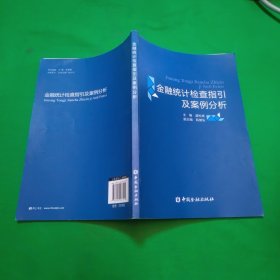 金融统计检查指引及案例分析