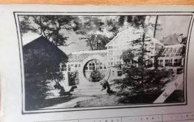 青岛海洋大学（中国海洋大学）前身山东海洋学院照片式年历卡，1984年，图案是青岛中山公园花房，很清晰。