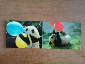 1974年折叠年历卡年历片熊猫