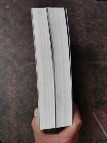 最高人民法院指导性案例裁判规则理解与适用·合同卷1：合同原则、履行、解除、违约责任、合同卷2：合同订立、效力、解释、变更与转让、时效、管辖（2册合售）