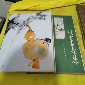 赵少昂画集（精装带外盒，大八开）