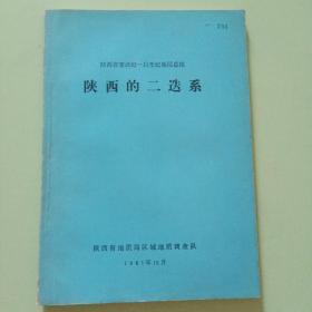 陕西省寒武纪——白垩纪地层总结：陕西的二迭系