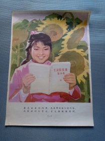 小学生挂图(8张一套)宣传画1978年