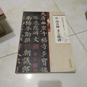 经典碑帖笔法临析大全：唐 颜真卿 多宝塔碑