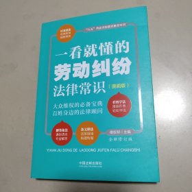 一看就懂的劳动纠纷法律常识：漫画版（全新修订版）   正版内页干净