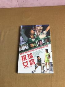 DVD 排球女将 二十九集电视连续剧【未拆封】