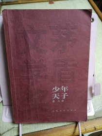 少年天子