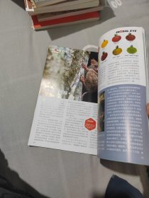 万物杂志 2022.12