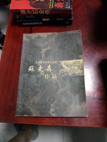 平面的智慧 : 张环宇作品集