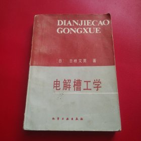 电解槽工学（品一般看图拍）