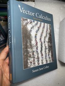 北京现货 Vector Calculus 英文原版 矢量微积分