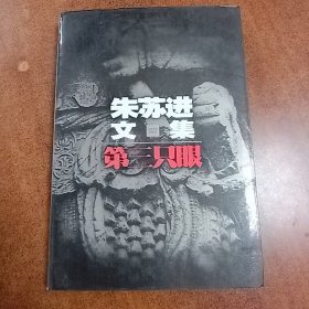 朱苏进文集·第三只眼