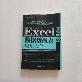 Excel 2013数据透视表应用大全