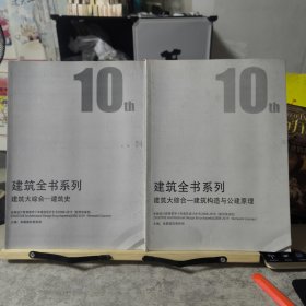 建筑全书系列（建筑大综合一建筑构造与公建原理 建筑大综合一建筑史）两本合售