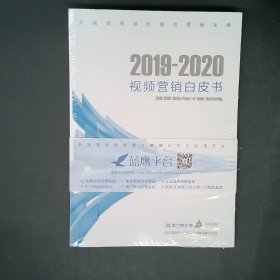 2019—2020视频营销白皮书