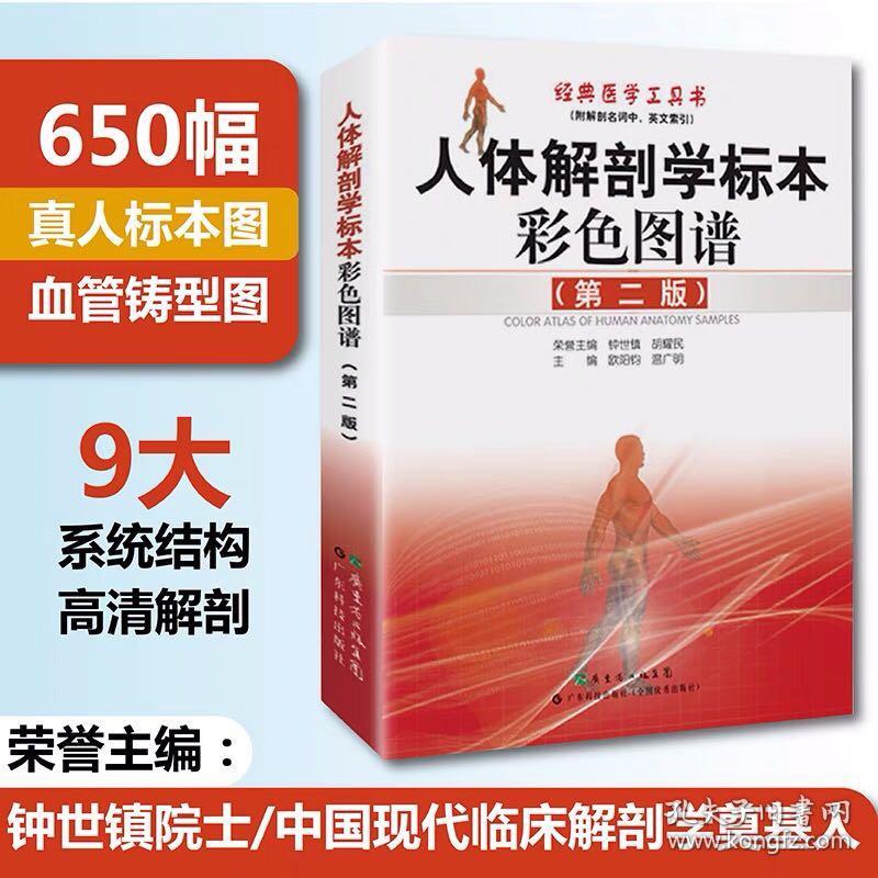 人体解剖学标本彩色图谱第2版 钟世镇 650幅真实人体标本实拍图 全彩人体解剖彩色学图谱 人体解剖书 实用解剖图谱 局部系统解剖学