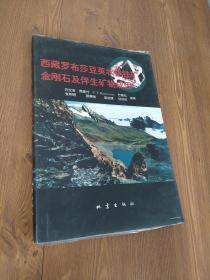 西藏罗布莎豆荚状铬铁矿、金刚石及伴生矿物成因  精装