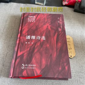 潘维诗选