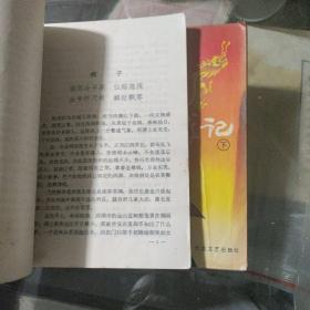沉剑飞龙记  上下册