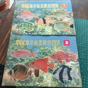 中国海洋鱼类原色图集 第1 2册