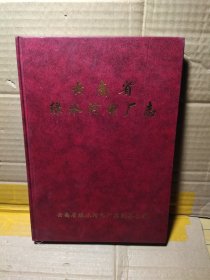 云南省绿水河电厂志
