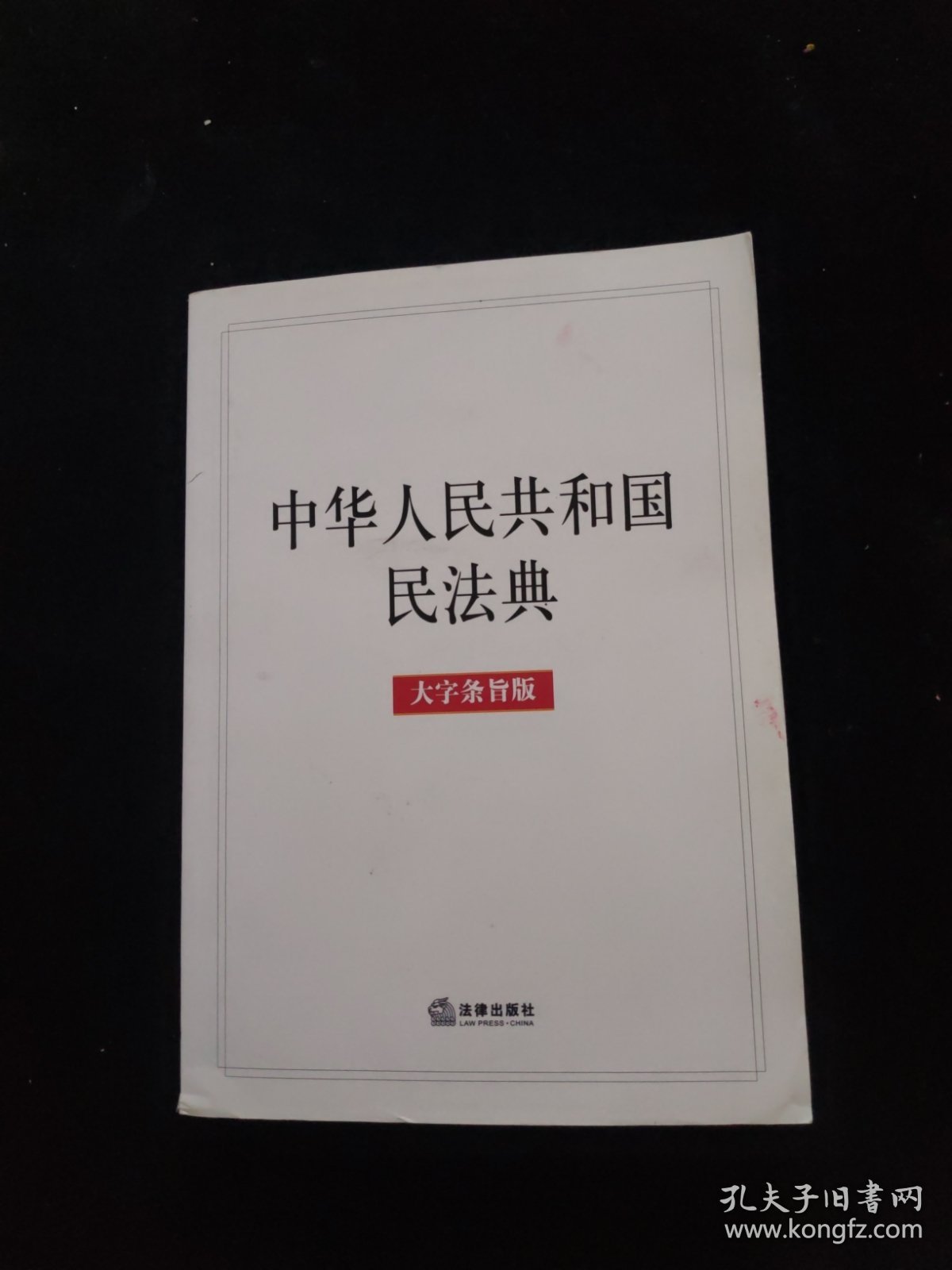 中华人民共和国民法典（大字条旨版）2020年6月