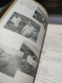 农科院藏16开《广西茶叶》1982年1-2期，广西茶叶学会编，品佳