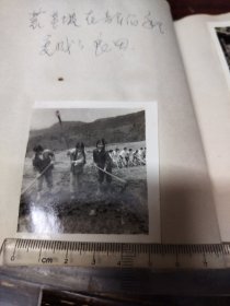 知青题材老照片之八