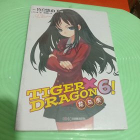 TIGER×DRAGON6!：龙与虎