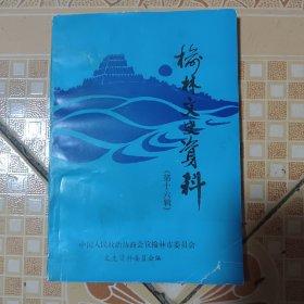 榆林文史资料（第十六辑）