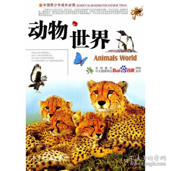 动物世界