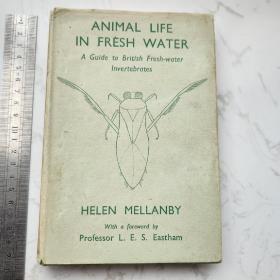 Animal Life in Fresh Water