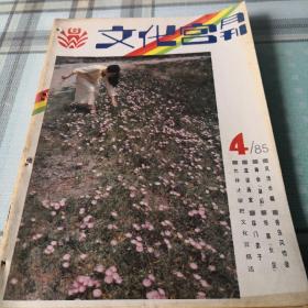 文化宫月刊  1985年第四期；9-4-1（内架2）