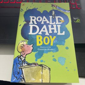 Roald Dahl boy     好小子 英文原版小说 Boy 罗尔德达尔系列Roald Dahl 趣味青少年读物获奖文学小说童书课外阅读书 儿童插图文学小说书籍进口正版