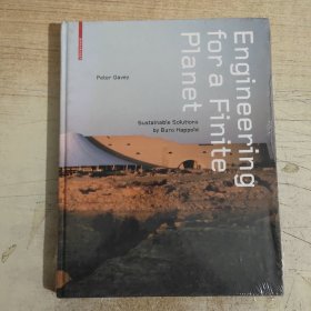 Engineering for a Finite Planet: Sustainable Solutions by Buro Happold 塑封