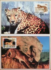 2005年 集邮总公司MC-67  金钱豹与美洲狮  中加联合发行极限片