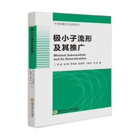 极小子流形及其推广