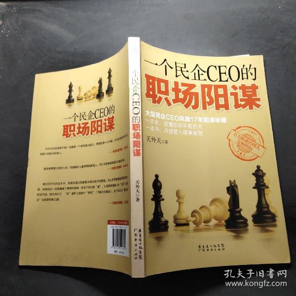 一个民企CEO的职场阳谋